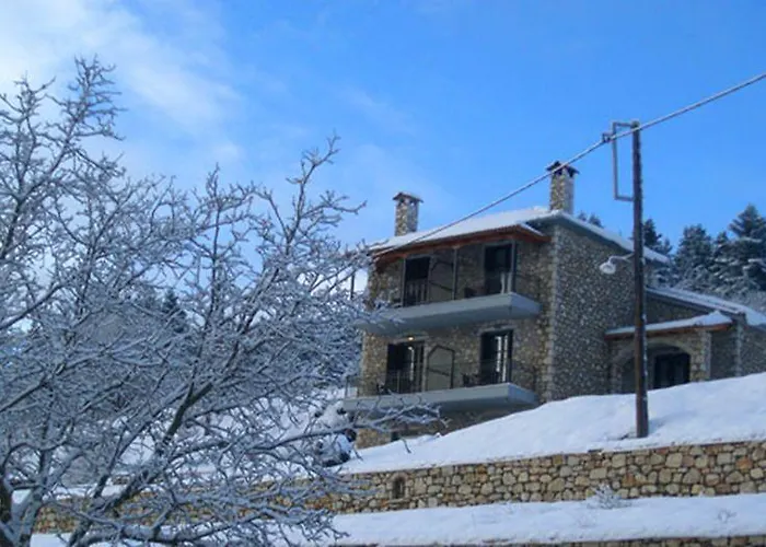 - ゲストハウス